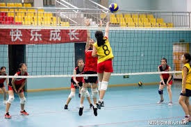 棒球与劳资协议：解析薪资仲裁对中坚力量球员收入的影响逻辑