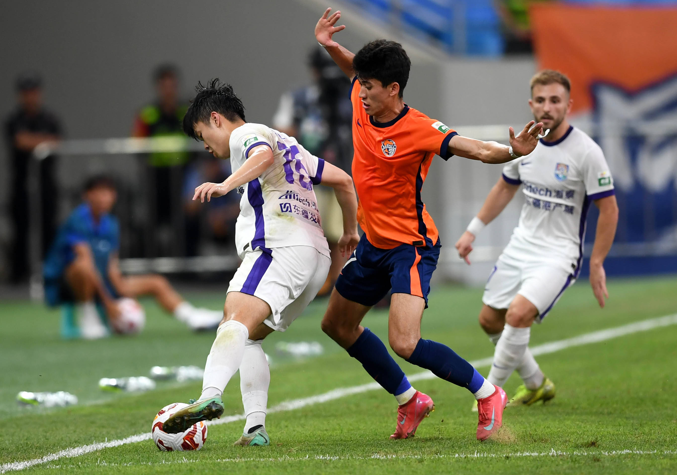 这位灰熊内 这位灰熊内