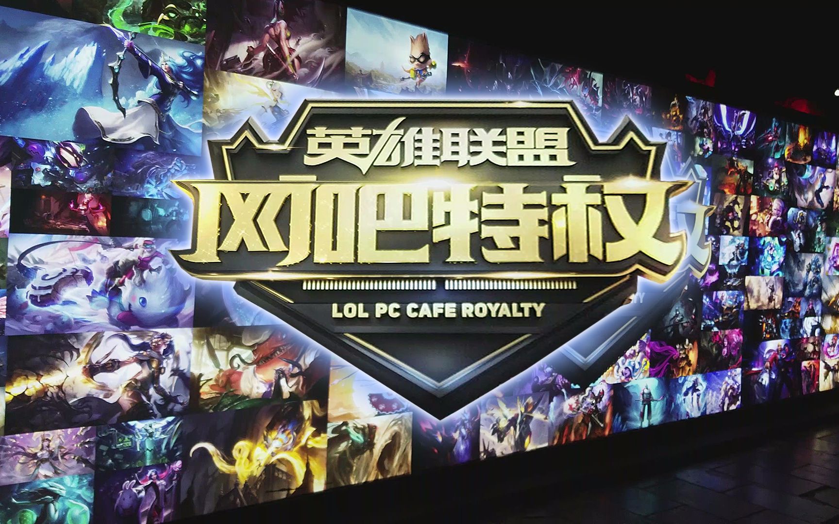 理双维看